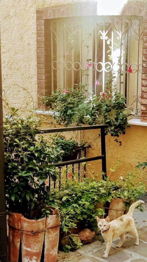 Appartement Casa Gaia à Trivigno Extérieur photo